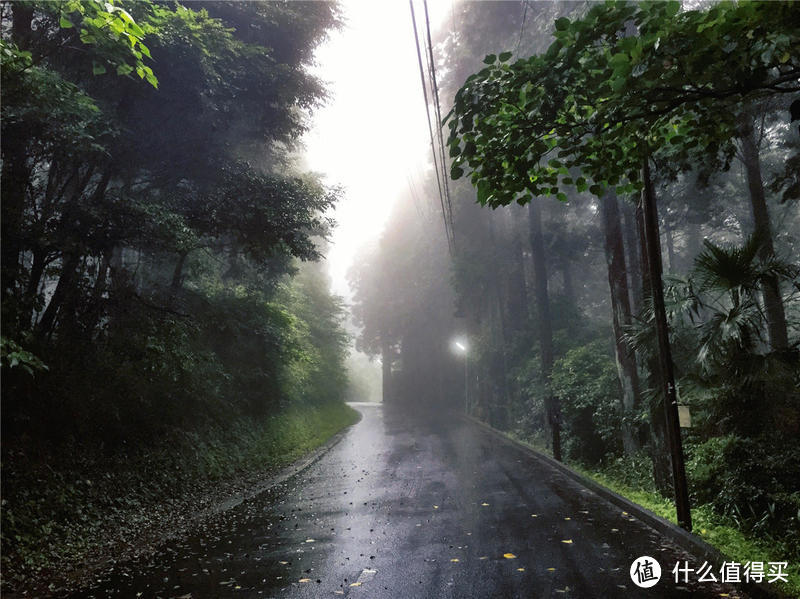 雨季来雾岛-寻找仙境还是寂静林?