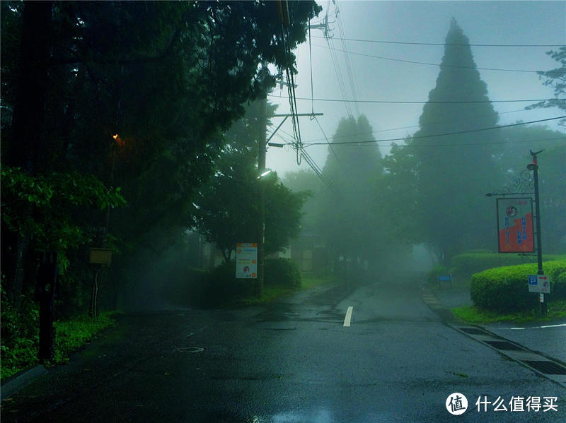 雨季来雾岛-寻找仙境还是寂静林?