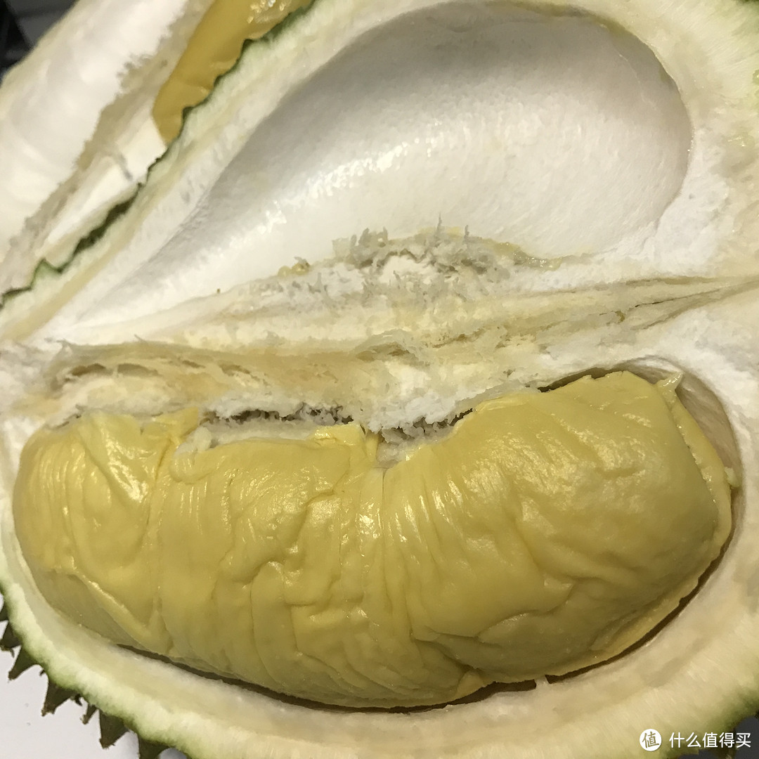 Shun 旬 KDM0030 厨刀 & 猫山王MUSANG KING 榴莲 开箱