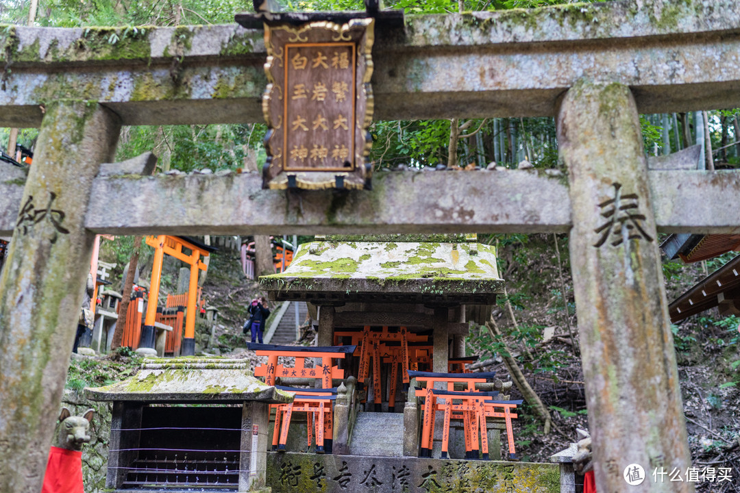 Day 5 + Day 6 京都游记，伏见稻荷大社和雨中岚山