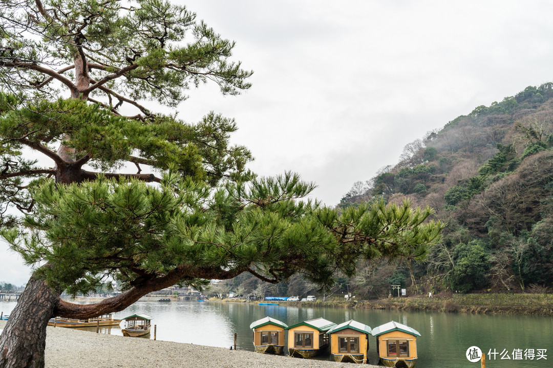 Day 5 + Day 6 京都游记,伏见稻荷大社和雨中岚山