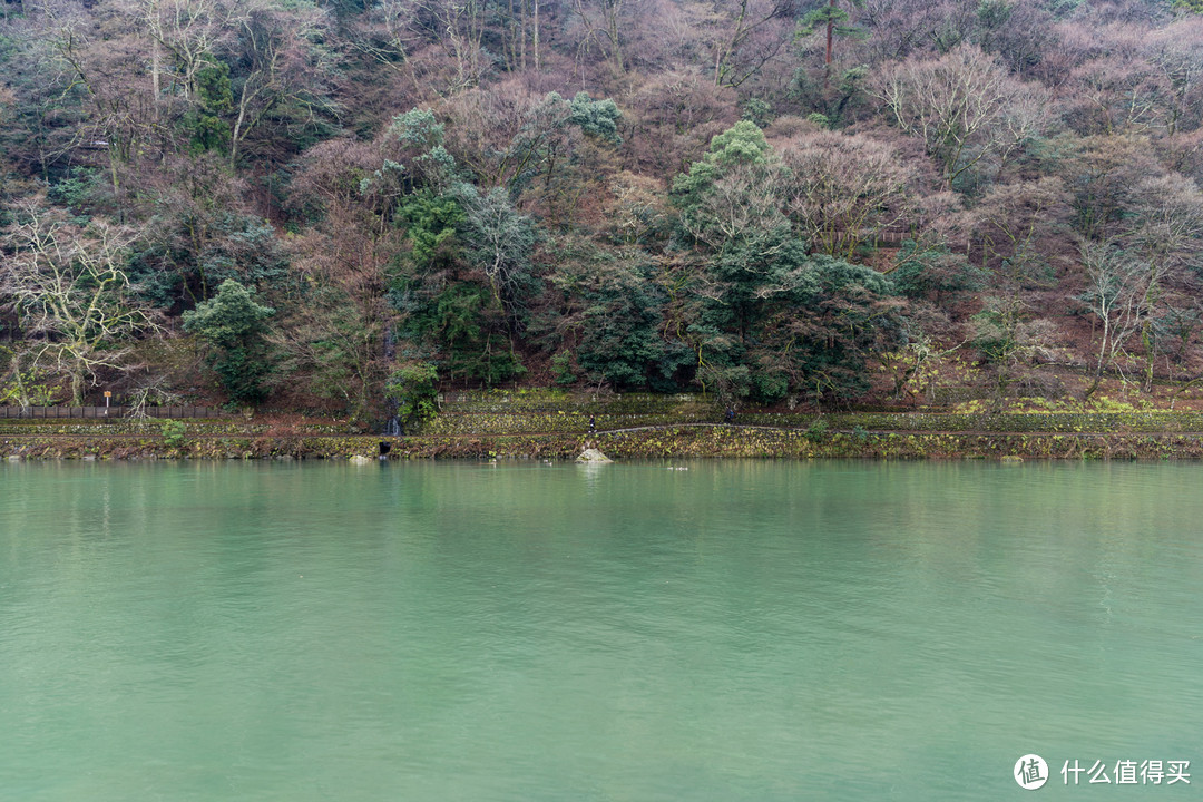 Day 5 + Day 6 京都游记，伏见稻荷大社和雨中岚山