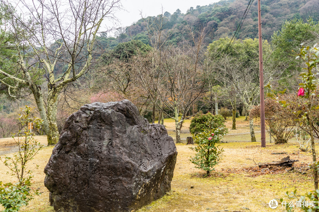 Day 5 + Day 6 京都游记，伏见稻荷大社和雨中岚山