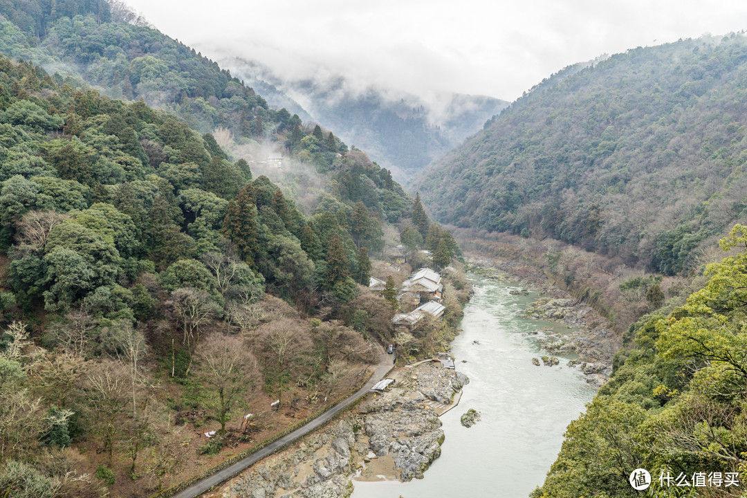 Day 5 + Day 6 京都游记，伏见稻荷大社和雨中岚山