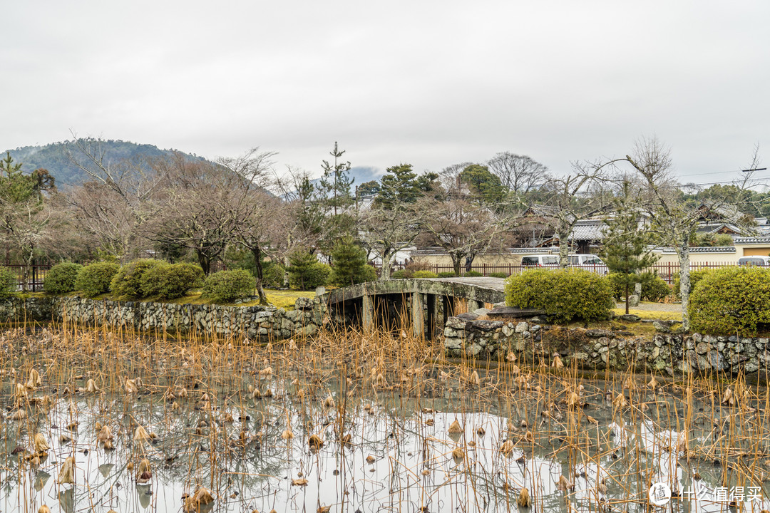 Day 5 + Day 6 京都游记，伏见稻荷大社和雨中岚山