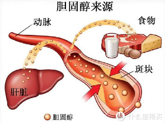 七分吃——那些年背锅的鸡蛋