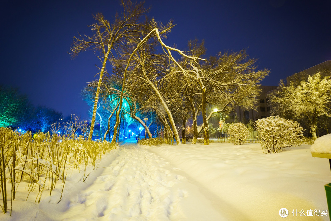 今年最大的一場雪