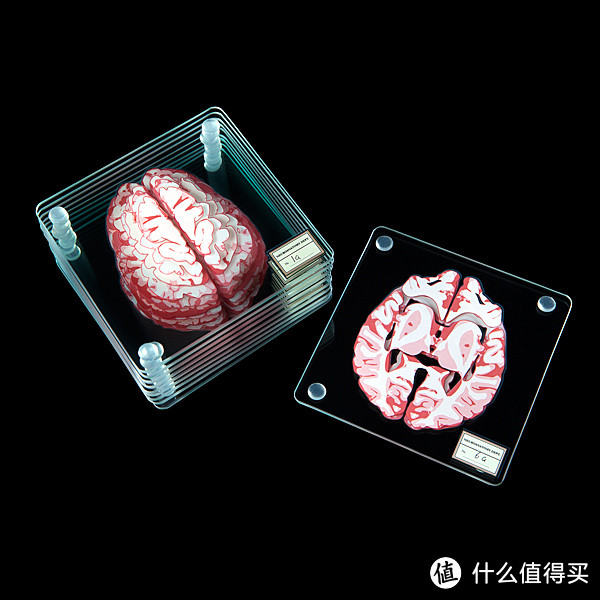 【奇葩物】#原创新人#第一次晒单 Brain Specimen Coasters大脑标本茶杯垫