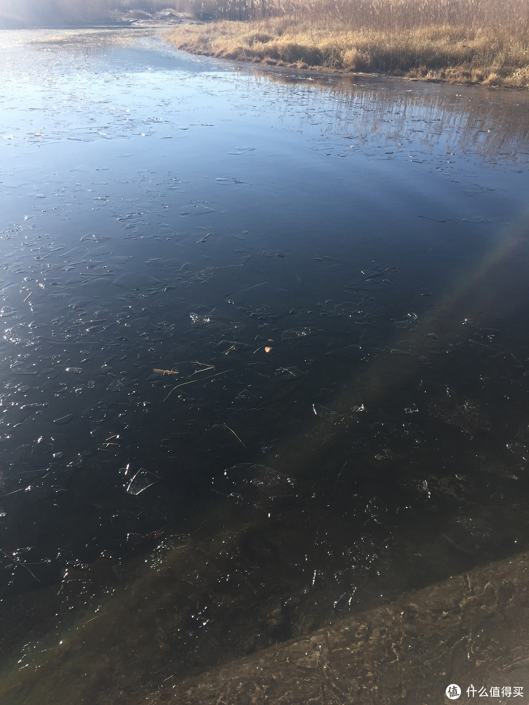 早晨的湖面已结冰 早晨的湖面已结冰