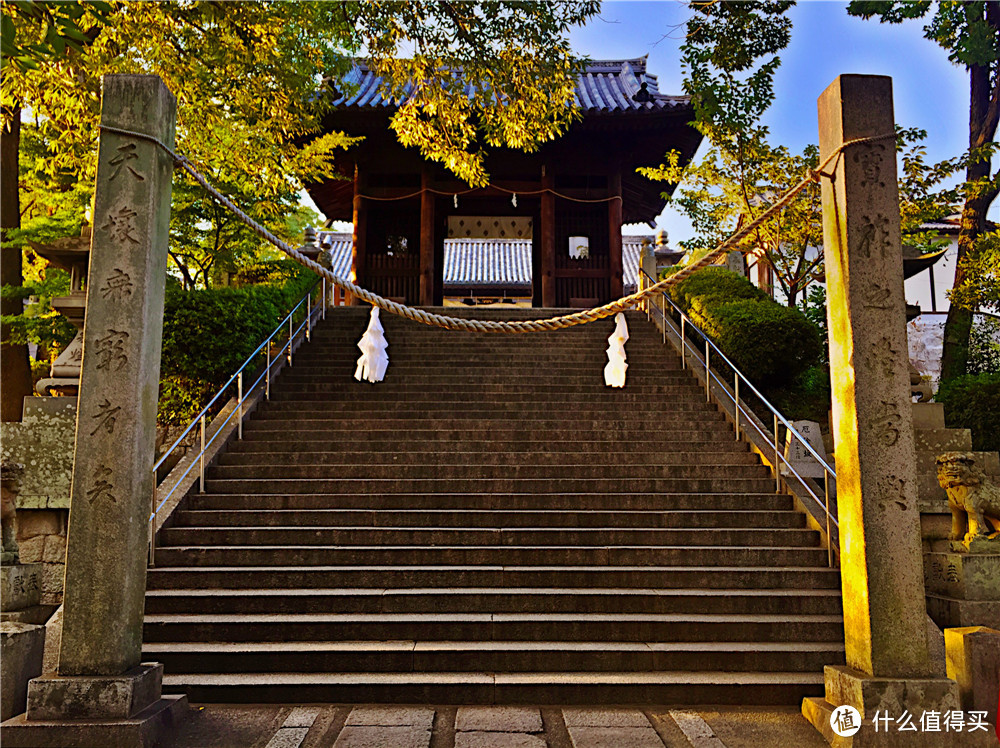 仓敷 大久野岛 广岛 宫岛