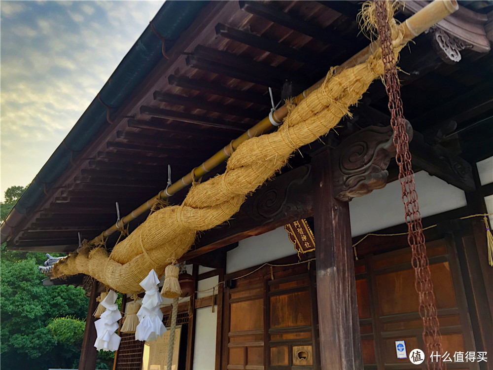 仓敷 大久野岛 广岛 宫岛