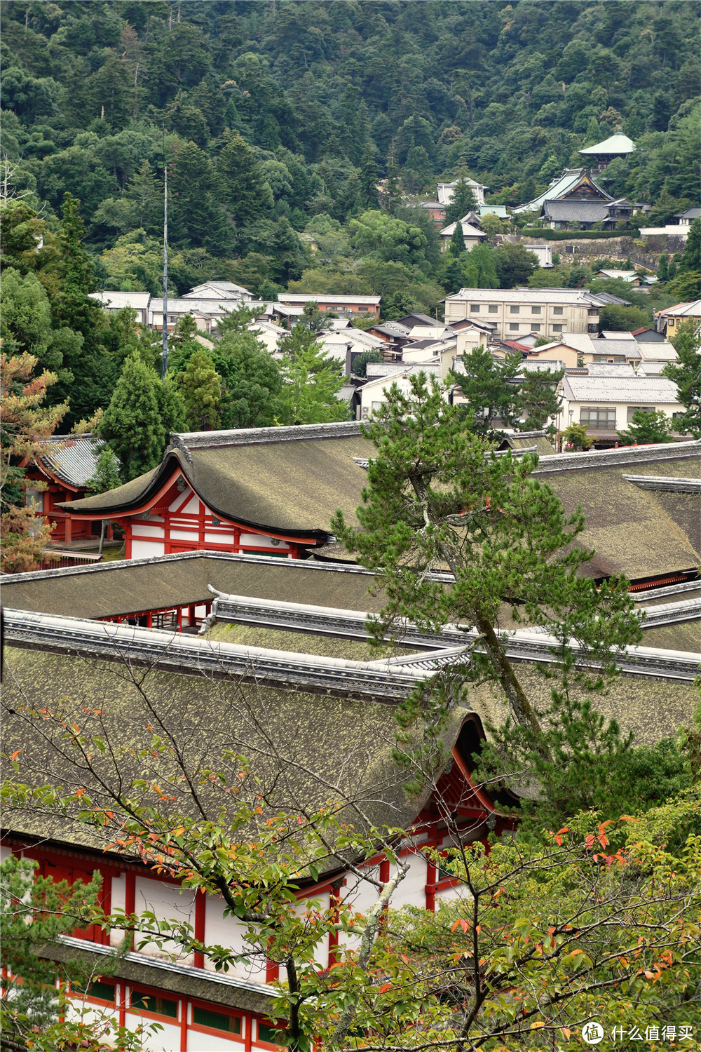 仓敷 大久野岛 广岛 宫岛