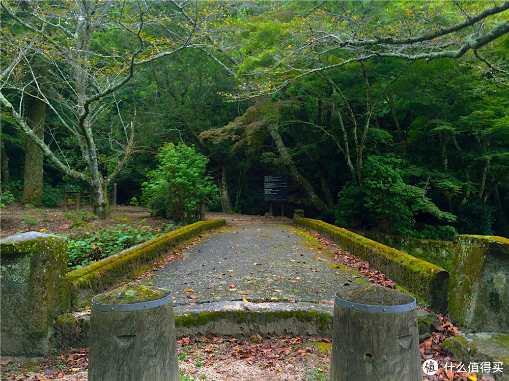 仓敷 大久野岛 广岛 宫岛