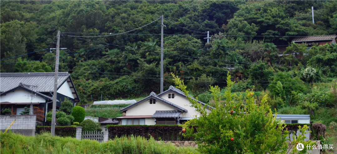 宫岛 直岛 高松