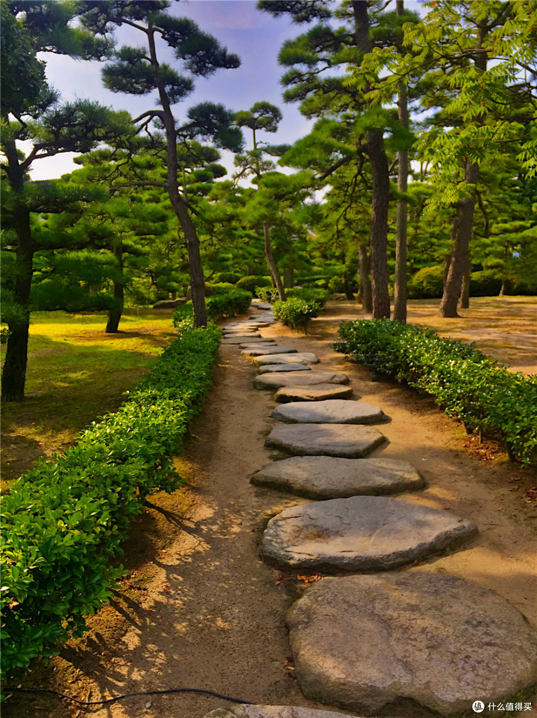 宫岛 直岛 高松