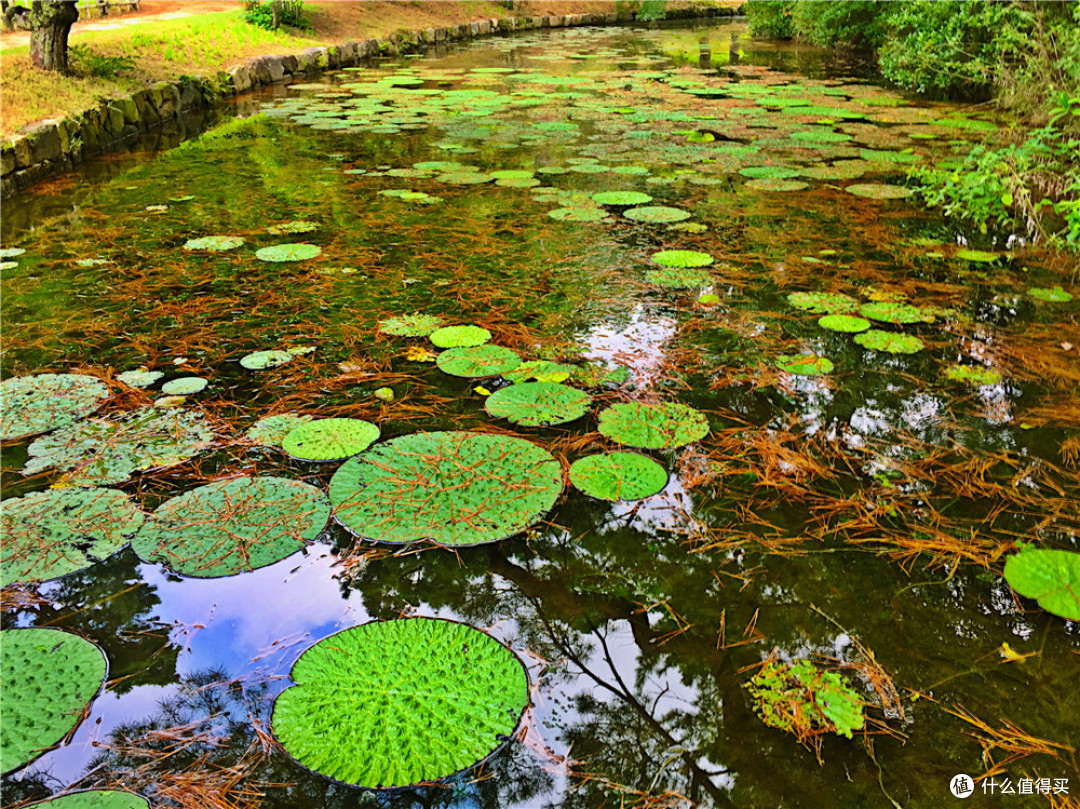 宫岛 直岛 高松