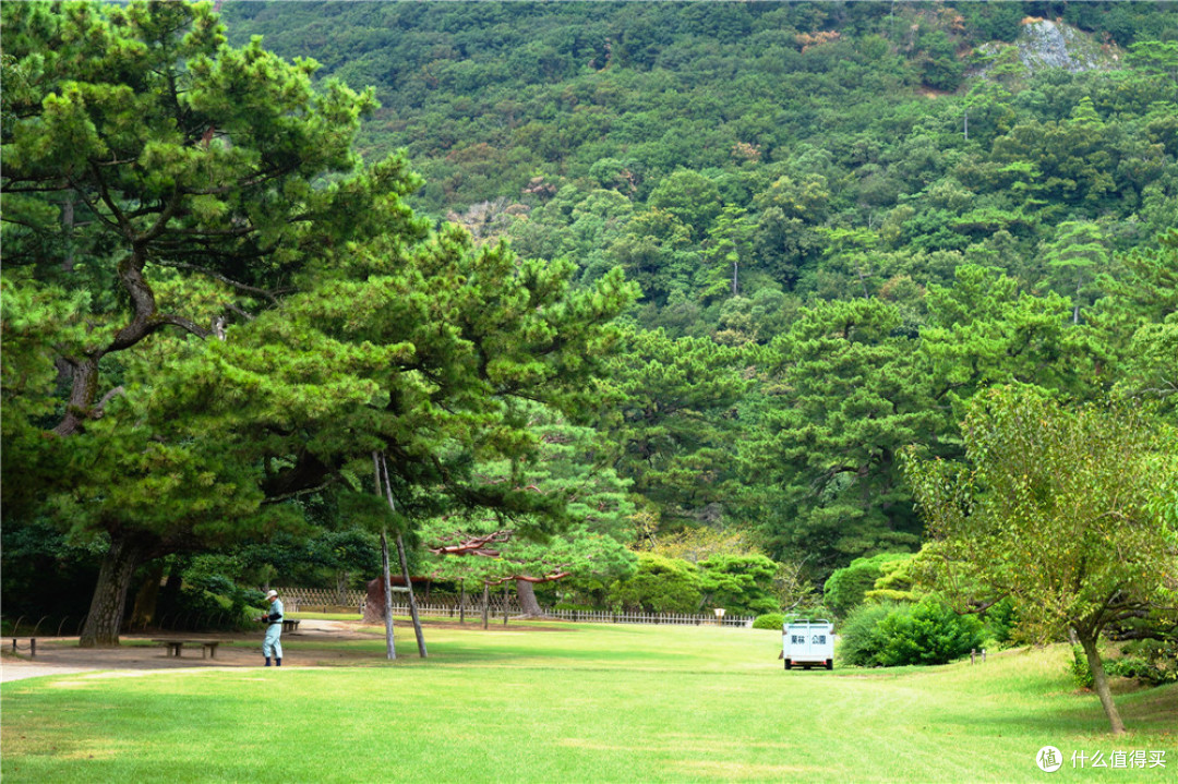宫岛 直岛 高松
