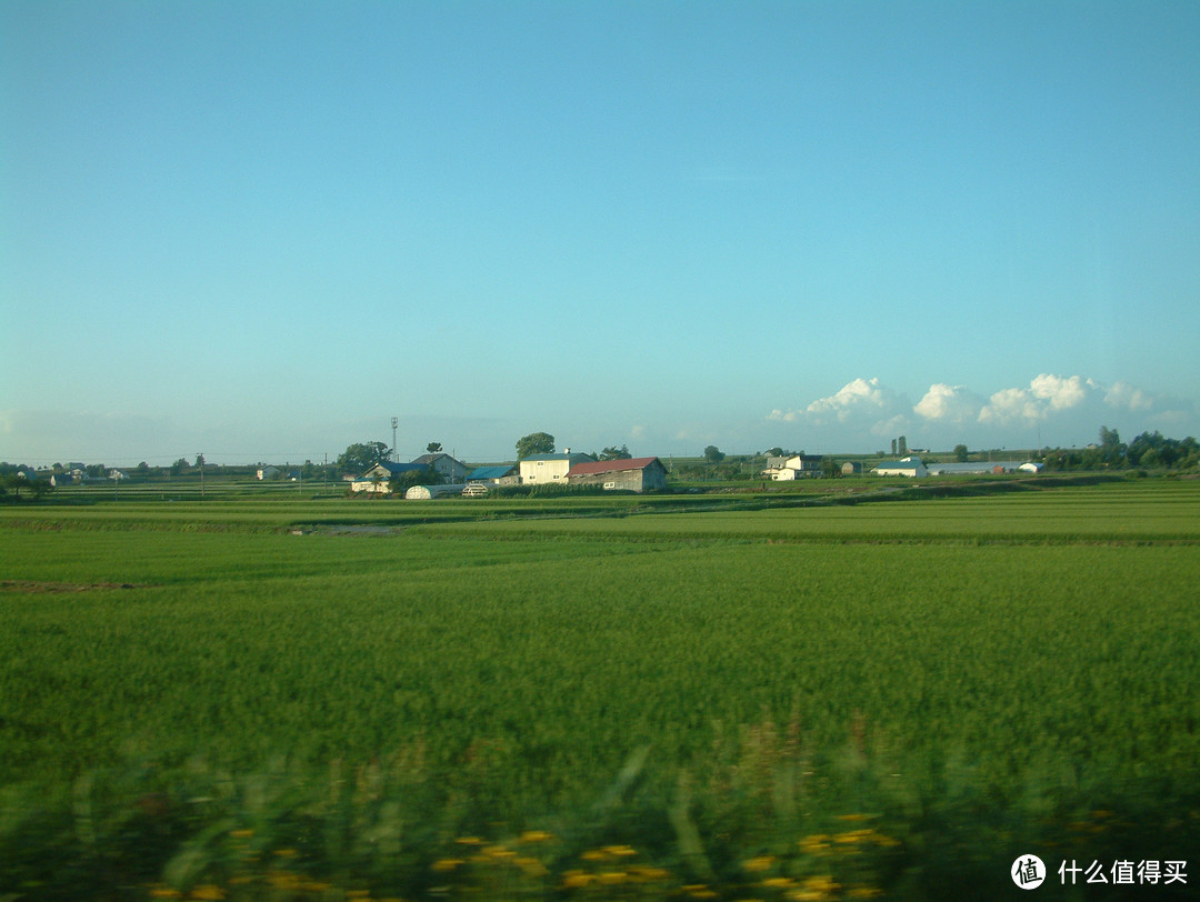 影像篇到底：葛大叔《非诚勿扰》后的夏日北海道游走