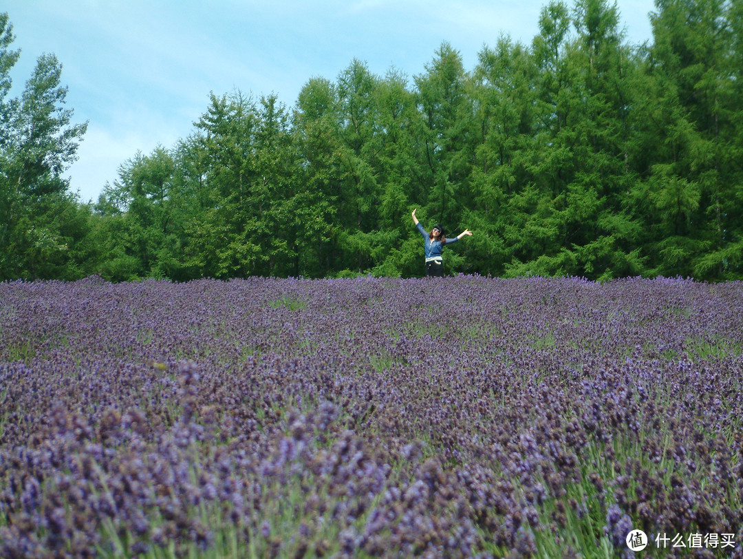 影像篇到底：葛大叔《非诚勿扰》后的夏日北海道游走