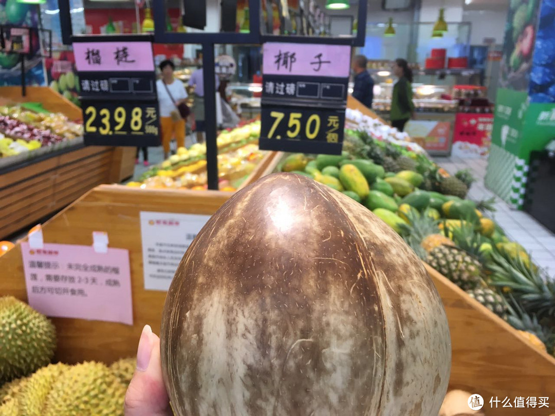 椰子 椰子