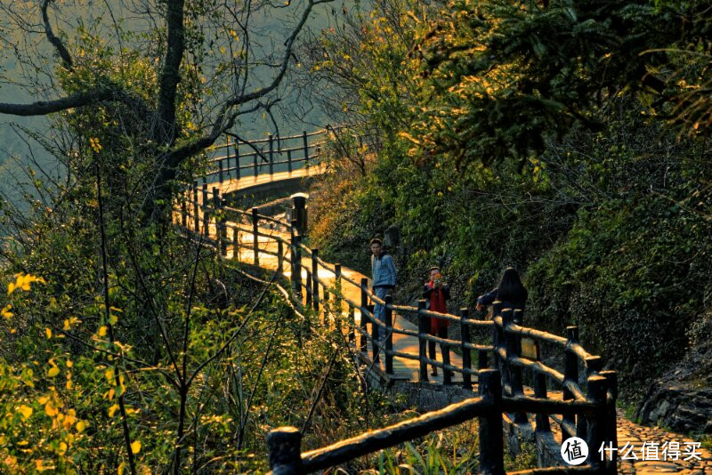 周末行浙江旅---苍南