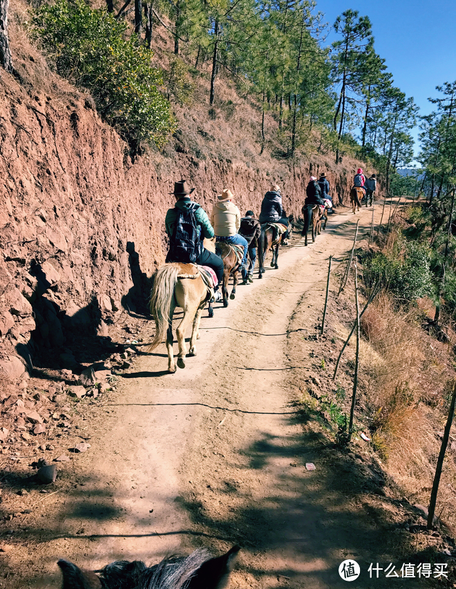 悠哉悠哉拍在路上 — 在云南的这4天