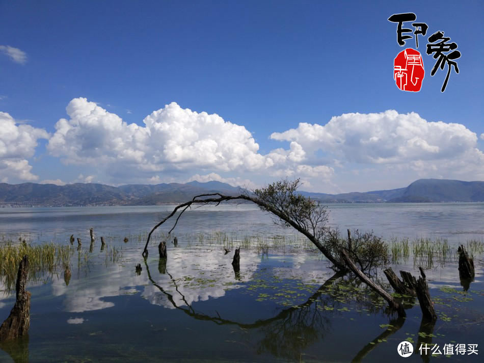 “与洱海齐平”的地方，知道是哪？