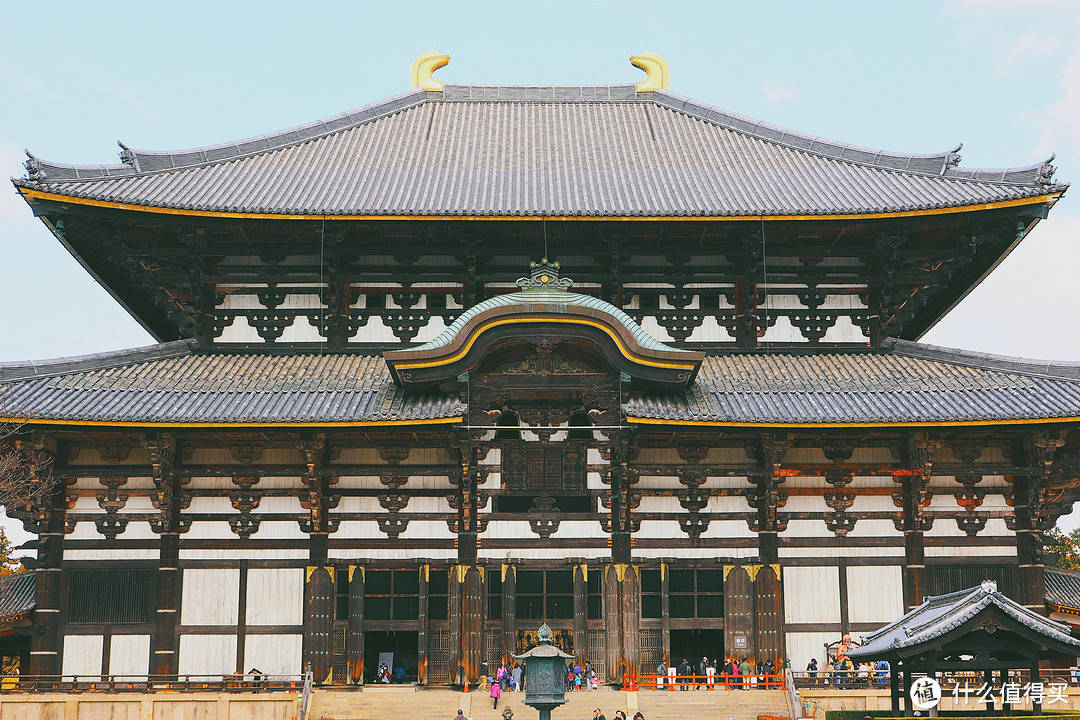 让我搭一班ANA的飞机，独自到日本去撒欢【大阪&名古屋】