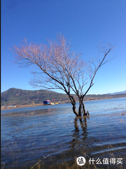 悠哉悠哉拍在路上 — 在云南的这4天