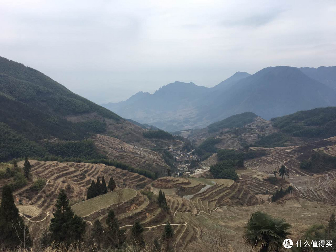 只愿身在此山中——丽水云和梯田