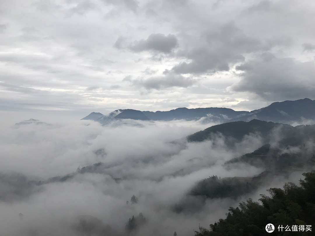 只愿身在此山中——丽水云和梯田