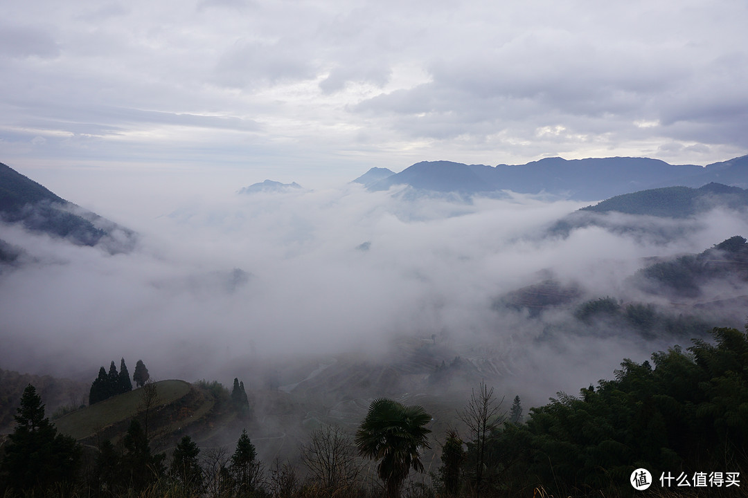 只愿身在此山中——丽水云和梯田