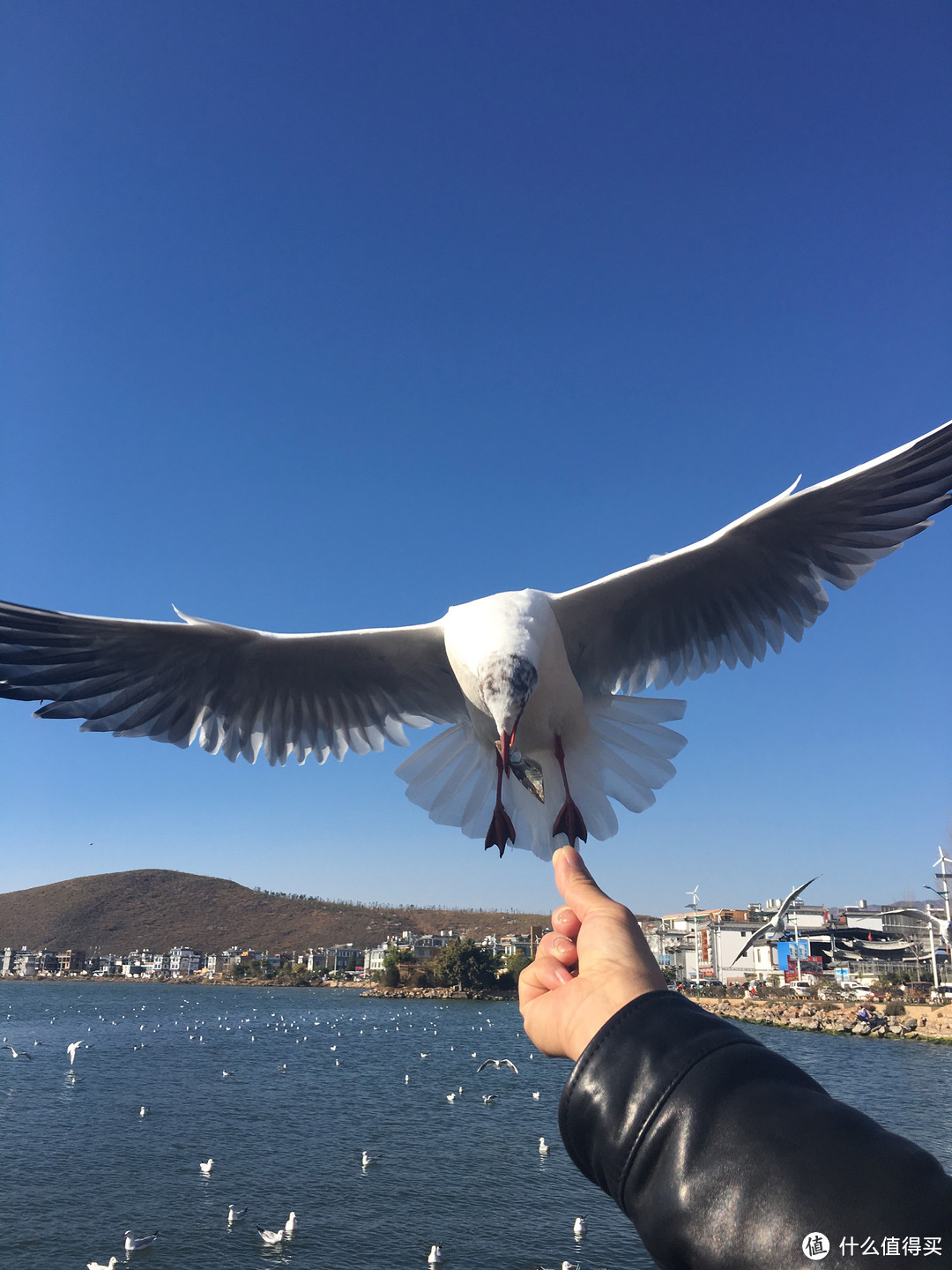 洱海环湖游，七彩云南之大理篇