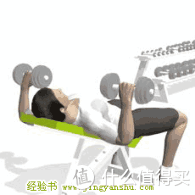 继续减肥革命:凯康 KK021A 多功能哑铃凳仰卧板开箱