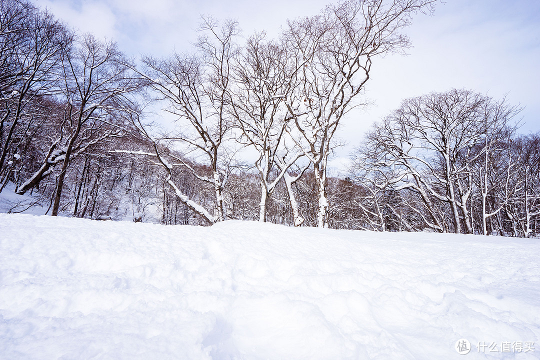 冬游北海道：半自由行之旅