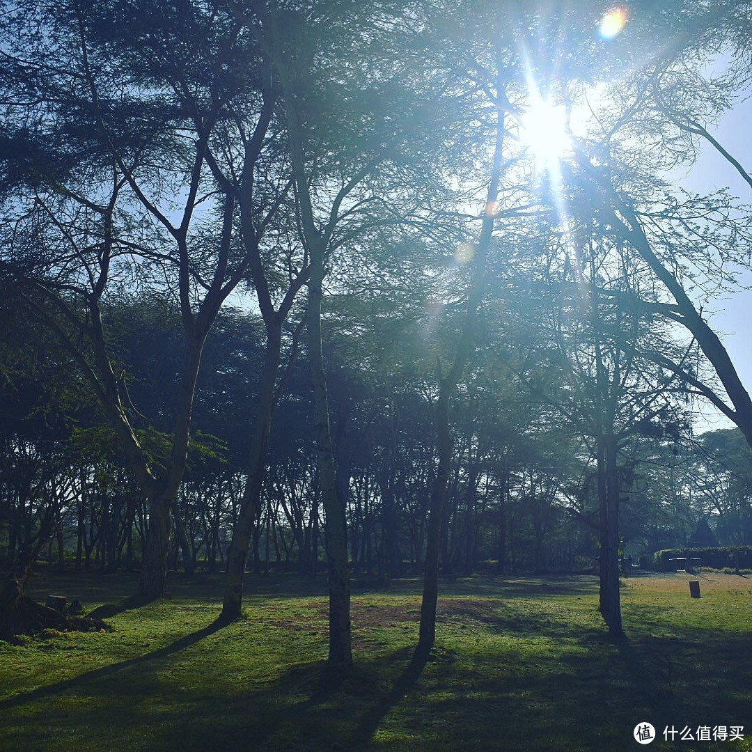 原来你是这样的肯尼亚：记一次春节期间的肯尼亚七日游