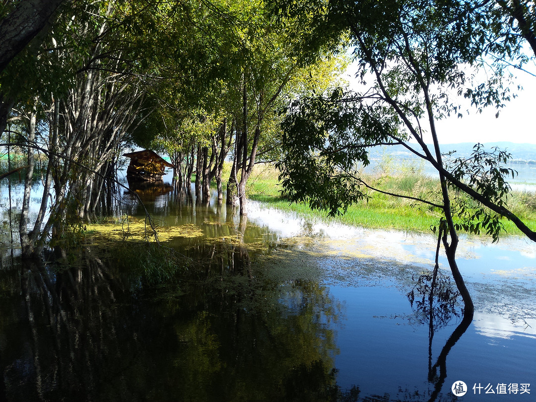 运动中的风景：2015年国庆大理——丽江骑行游记