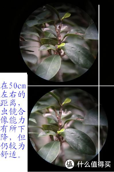 #本站首晒# 望远镜组合拳：佳能稳像12x36+宾得虫虫6.5x21