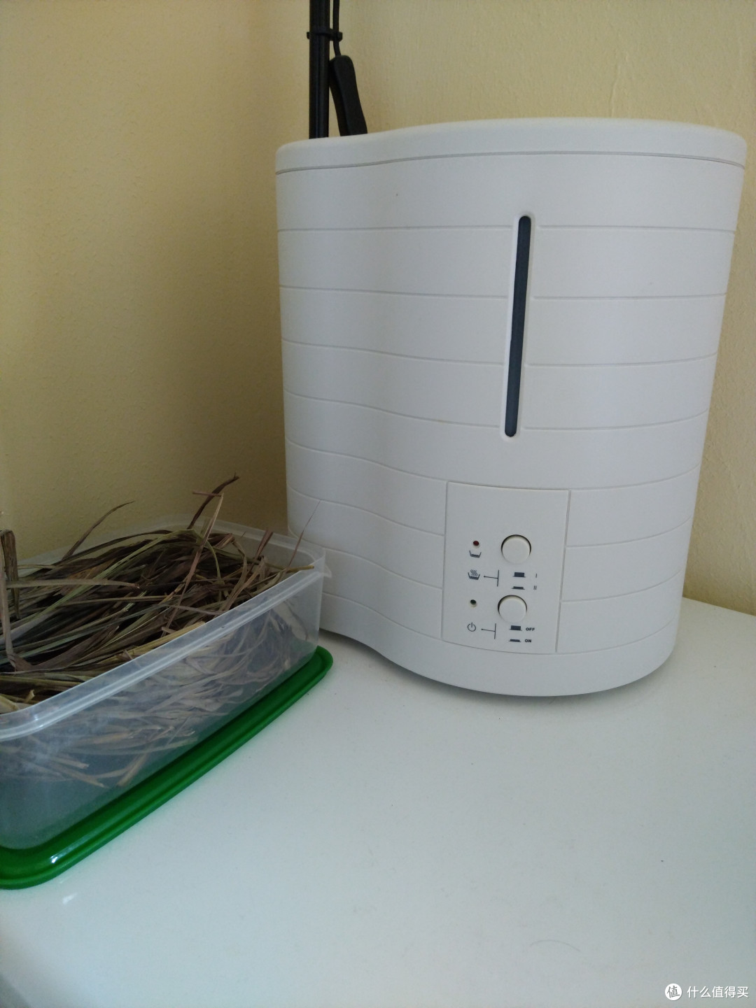 家庭香薰利器:蒸汽加湿器 家庭香薰利器:蒸汽加湿器
