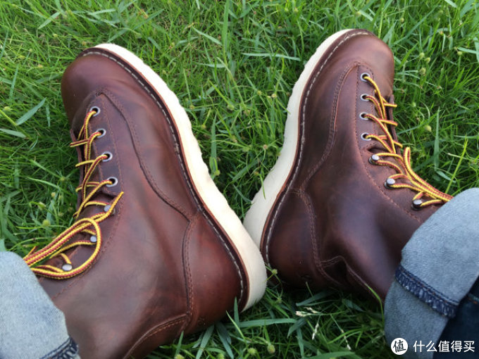 danner 15556