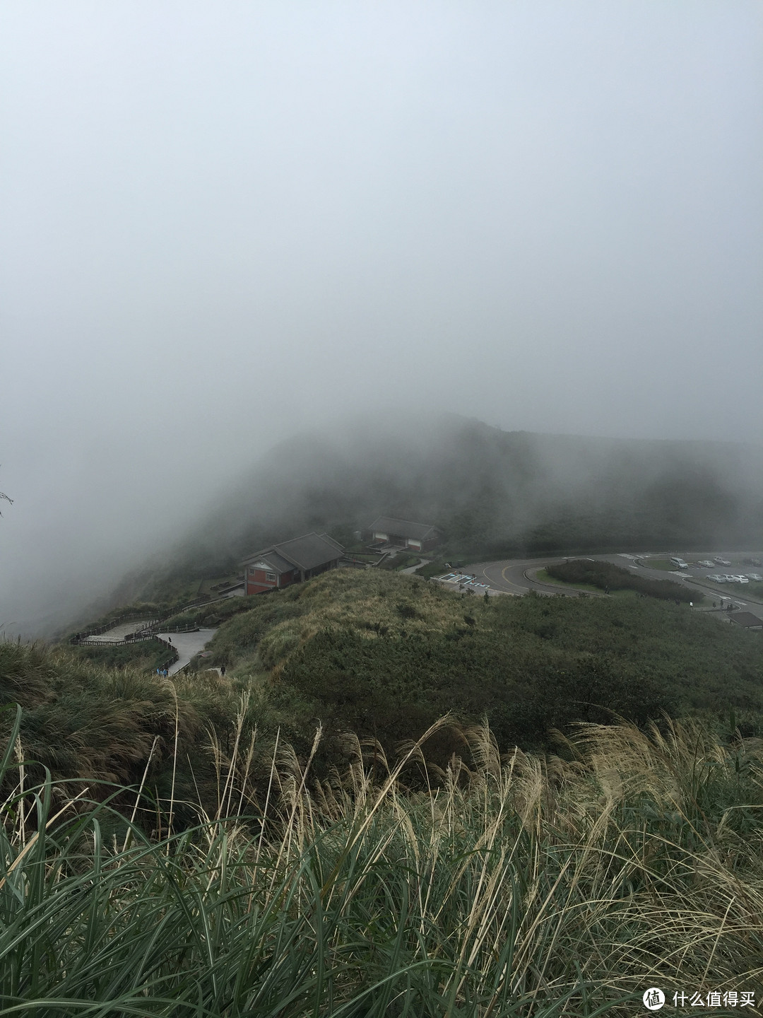 #原创新人#你是这样的阳明山----穷游台湾十二天