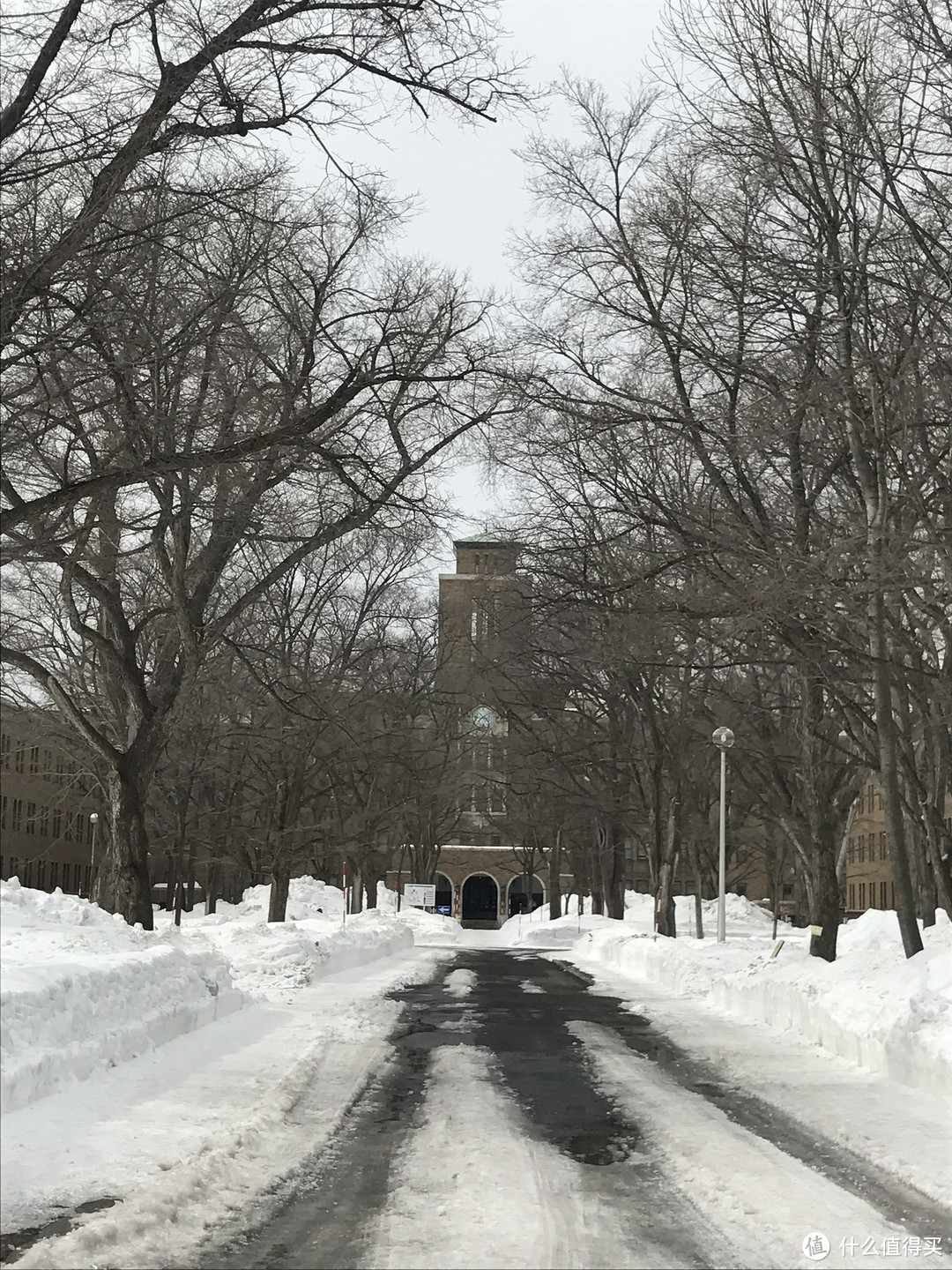 北海道星野TOMAMU度假村——学习滑雪从这里开始