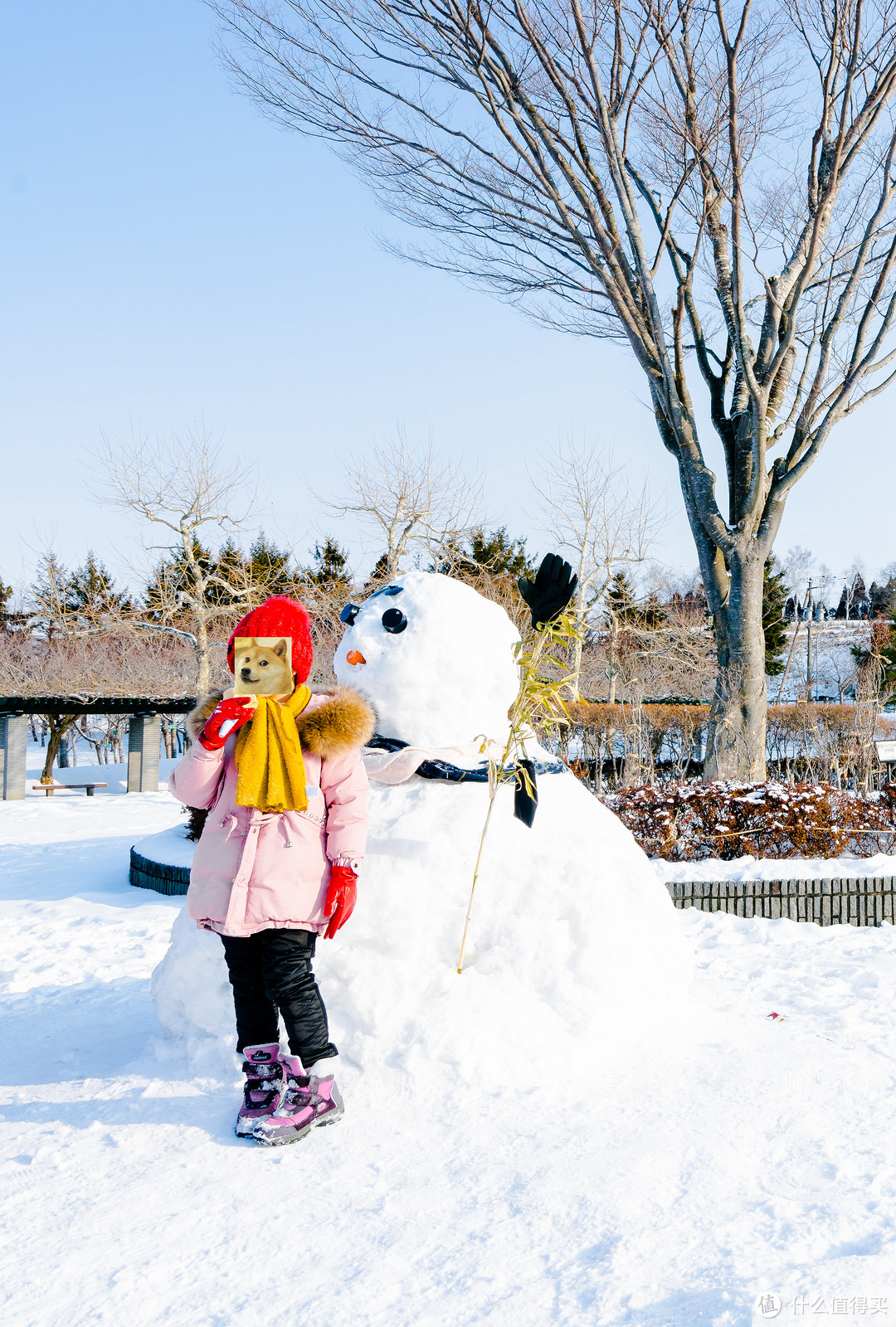 冬游北海道：半自由行之旅