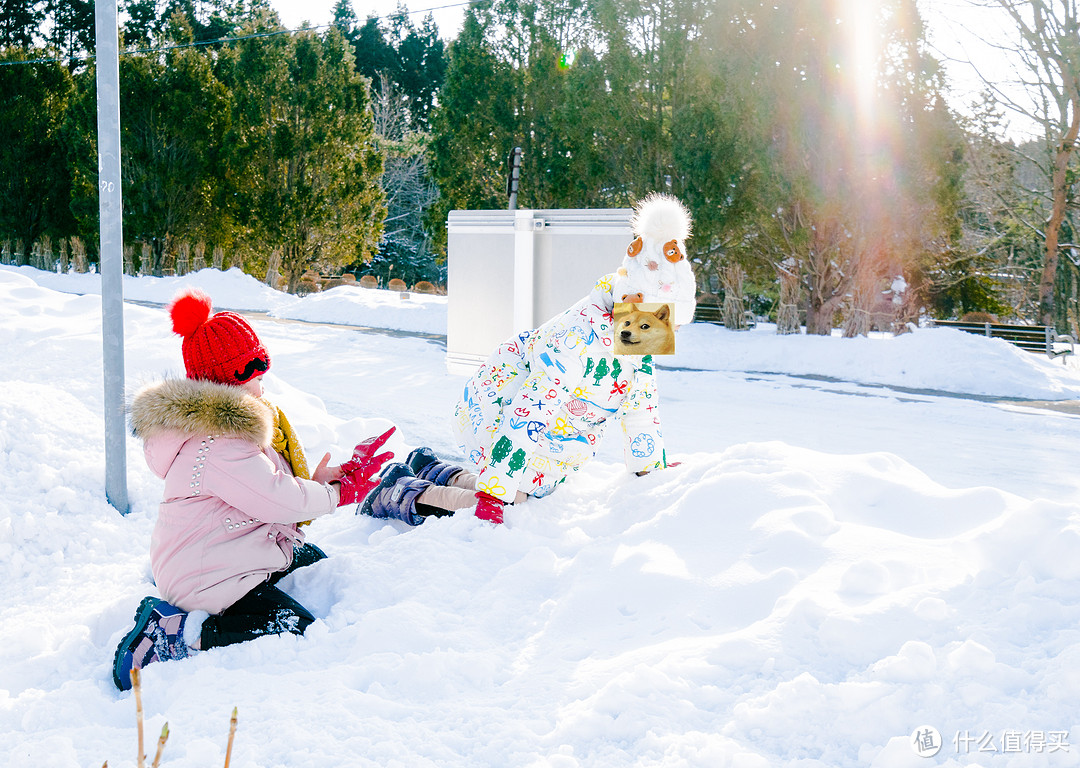 冬游北海道：半自由行之旅