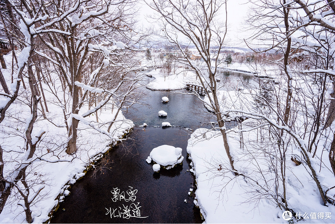 冬游北海道：半自由行之旅