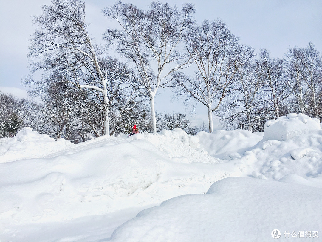 冬游北海道：半自由行之旅