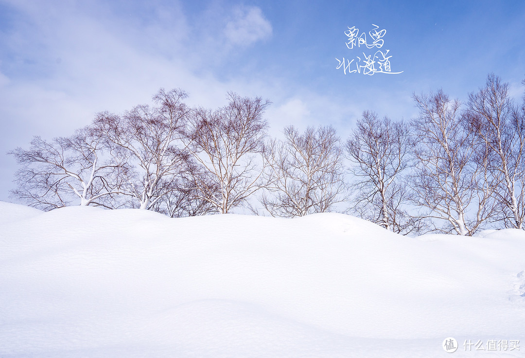 冬游北海道：半自由行之旅