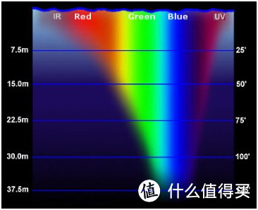 再谈浮潜：拍摄装备进阶与后期处理