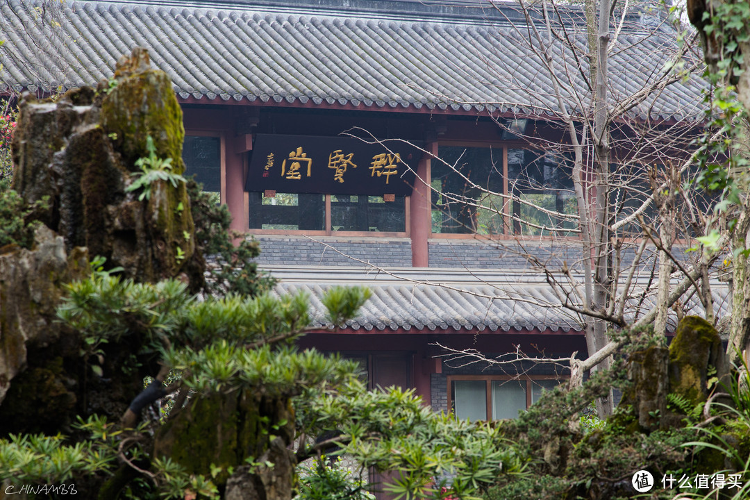 绍兴本地土著游成都