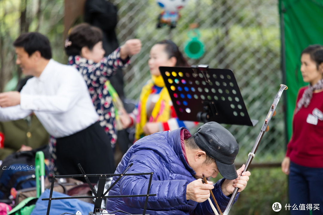 绍兴本地土著游成都